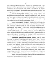 Pardavimų simuliacijos planavimas 18 puslapis