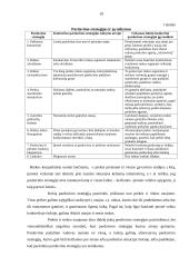 Pardavimų simuliacijos planavimas 19 puslapis