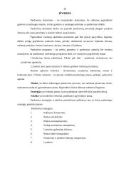 Pardavimų simuliacijos planavimas 20 puslapis