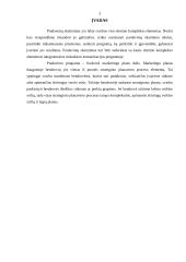 Pardavimų simuliacijos planavimas 3 puslapis