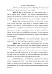 Pardavimų simuliacijos planavimas 7 puslapis