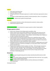 Genai, mutacijos, GMO 4 puslapis