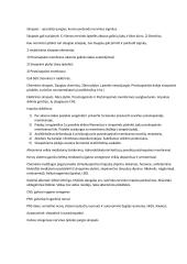 Nervai, nervų sistema 2 puslapis