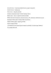 Nervai, nervų sistema 4 puslapis