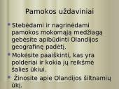 Olandija - šiltnamių šalis 2 puslapis