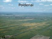 Olandija - šiltnamių šalis 11 puslapis