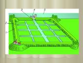 Olandija - šiltnamių šalis 12 puslapis