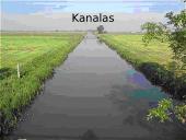 Olandija - šiltnamių šalis 16 puslapis