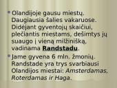 Olandija - šiltnamių šalis 19 puslapis