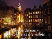 Olandija - šiltnamių šalis 20 puslapis