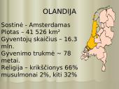 Olandija - šiltnamių šalis 4 puslapis