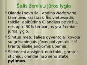 Olandija - šiltnamių šalis 8 puslapis