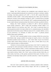 Parduotuvės įrengimo ir prekių asortimento pateikimo įvertinimas: UAB "New Yorker Lietuva" 10 puslapis