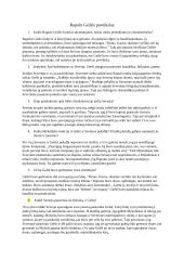 Rapolo Geišės paveikslas. Atsakymai į klausimus