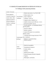 Interjero puošybos gaminys: „veidrodis su integruotu tunelio efektu“. Technologijų mokyklinio brandos egzamino darbo aprašas 10 puslapis