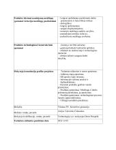 Interjero puošybos gaminys: „veidrodis su integruotu tunelio efektu“. Technologijų mokyklinio brandos egzamino darbo aprašas 3 puslapis