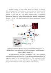 Mitybos sezoniškumas 3 puslapis