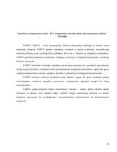 Paroc statybinė ir techninė izoliacija 18 puslapis