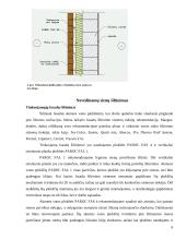 Paroc statybinė ir techninė izoliacija 4 puslapis