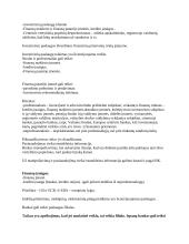 Finansų teisės konspektas egzaminui 15 puslapis