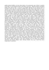 Platono „Puota“ analizė 2 puslapis