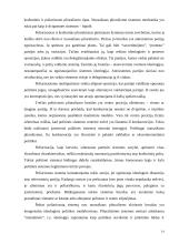 Partinės sistemos 14 puslapis