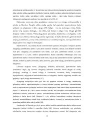 Bendrosios praktikos slaugytojų motyvacija ir galimybės kvalifikacijos tobulinimui 13 puslapis