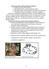Lietuvos ir pasaulio ekologinės problemos 10 puslapis