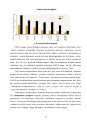 Pasaulio ir Lietuvos pagrindinės ekologinės problemos 15 puslapis