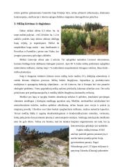 Pasaulio ir Lietuvos pagrindinės ekologinės problemos 17 puslapis