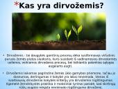 Vandenilio jonų koncentracijos poveikis dirvožemiui 2 puslapis