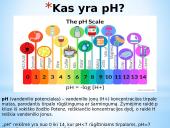 Vandenilio jonų koncentracijos poveikis dirvožemiui 3 puslapis