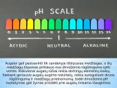 Vandenilio jonų koncentracijos poveikis dirvožemiui 6 puslapis