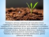 Vandenilio jonų koncentracijos poveikis dirvožemiui 7 puslapis