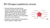 Dauginimosi ligos ir sutrikimai 7 puslapis