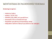 Lazerinis spausdintuvas. Modelis: HL - 1230 4 puslapis