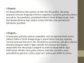 Lazerinis spausdintuvas. Modelis: HL - 1230 7 puslapis