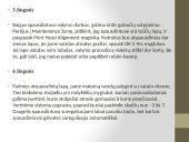 Lazerinis spausdintuvas. Modelis: HL - 1230 8 puslapis