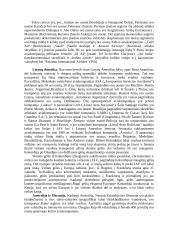 Pasaulio oro transporto sistema 8 puslapis