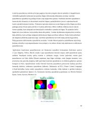 Lazerinis pausdintuvas. Jo ypatybės. Techninių sprendimų raidos ataskaita 15 puslapis