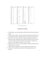 Lazerinis pausdintuvas. Jo ypatybės. Techninių sprendimų raidos ataskaita 4 puslapis