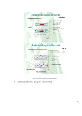 Lazerinis pausdintuvas. Jo ypatybės. Techninių sprendimų raidos ataskaita 8 puslapis