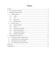 Pasitenkinimo darbu problema 2 puslapis