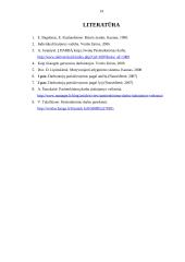 Pasitenkinimo darbu problema 14 puslapis