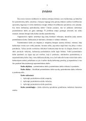 Pasitenkinimo darbu problema 3 puslapis