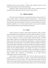 Pasitenkinimo darbu problema 5 puslapis