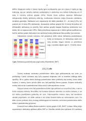 Pasitenkinimo darbu problema 6 puslapis