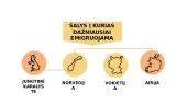 Lietuvos piliečių emigracijos priežastys ir pasekmės 4 puslapis