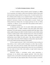 Pasiūlos elastingumą sąlygojantys veiksniai 12 puslapis