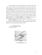 Pasiūlos elastingumą sąlygojantys veiksniai 6 puslapis